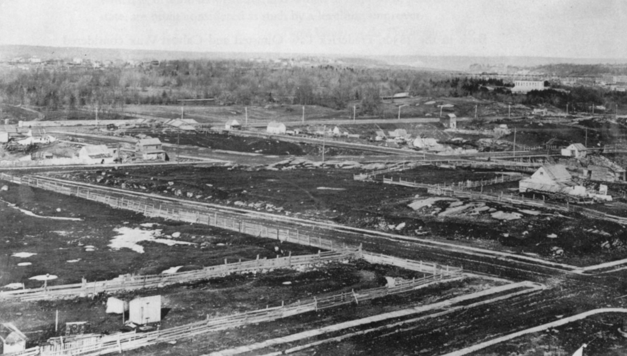 Frederick Law Olmsted and the Dialectical Landscape | Holt